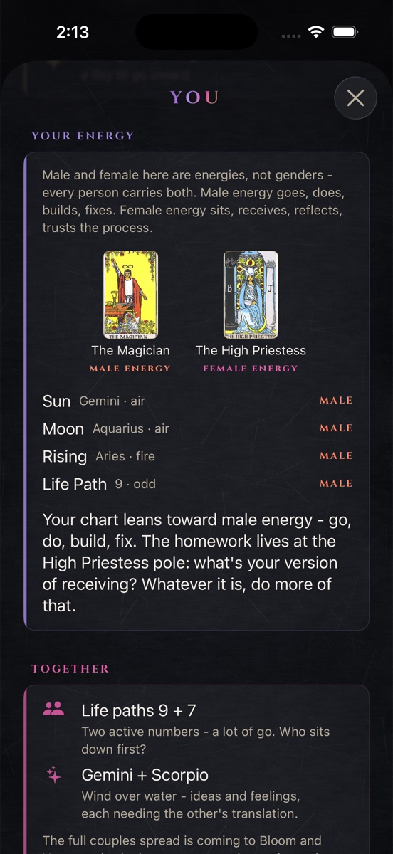 The You page: big three, life path, and the energy your chart leans on