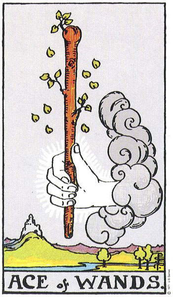 Ace of Wands card